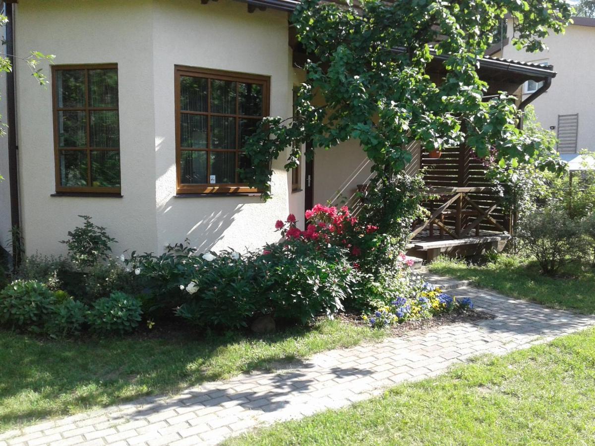 Boutigue House With Terrace And Garden Free Parking Butas *