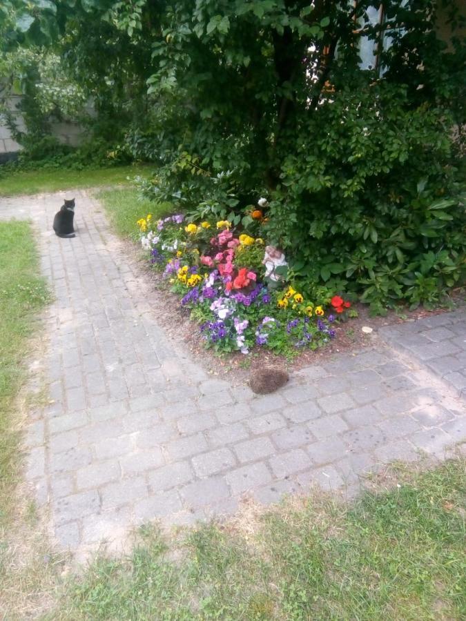 Boutigue House With Terrace And Garden Free Parking Butas Riga