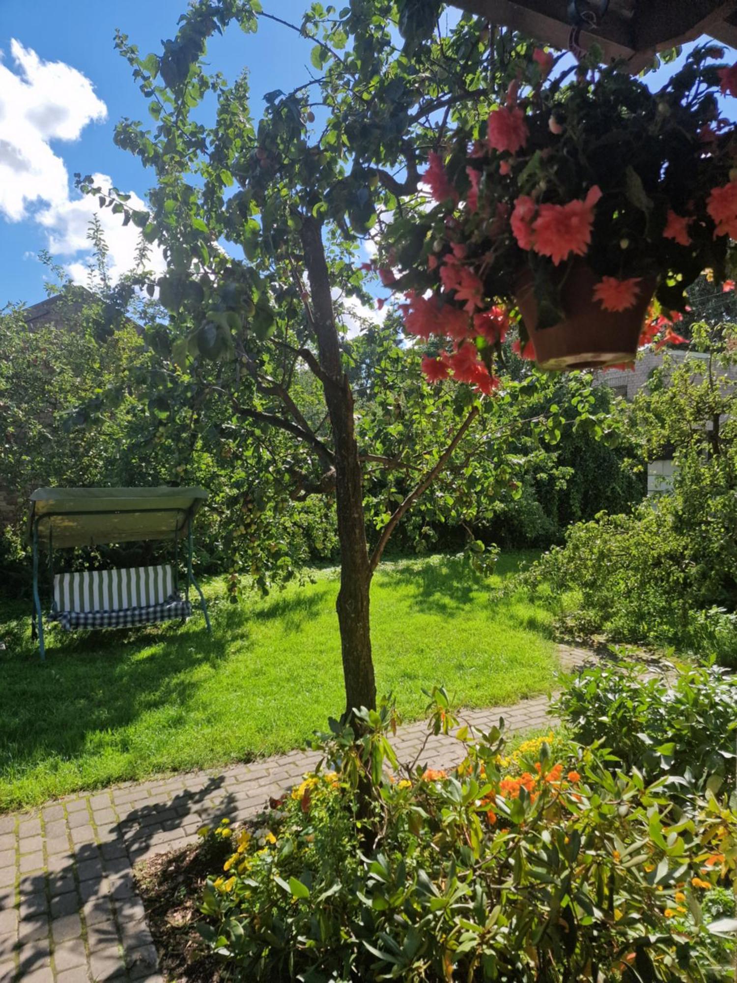 Butas Boutigue House With Terrace And Garden Free Parking Riga