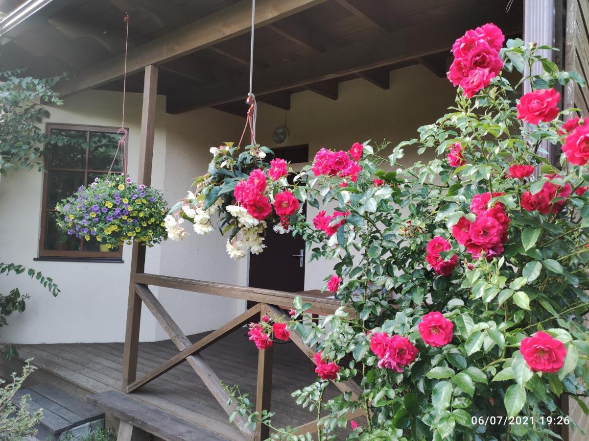 Апартаменты Boutigue House With Terrace And Garden Free Parking